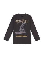 Джемпер для мальчиков темно-серый  Harry Potter AW20-F4G1787b-DG  размер 128-64,68